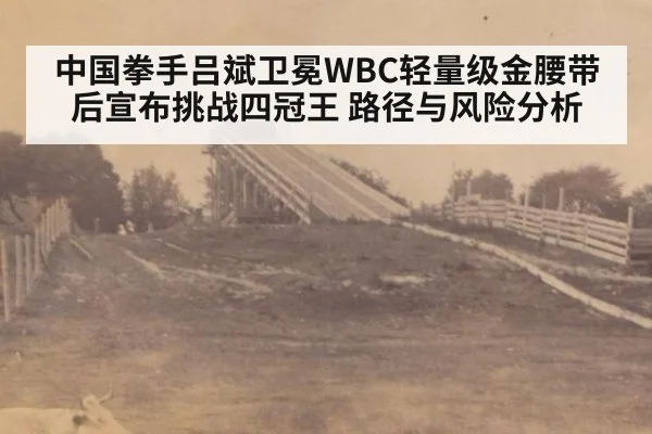 中国拳手吕斌卫冕WBC轻量级金腰带后宣布挑战四冠王 路径与风险分析