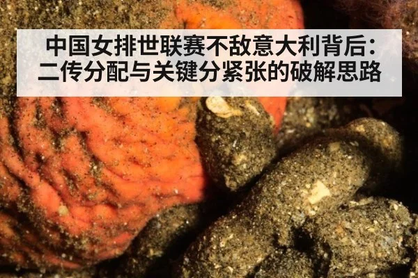 中国女排世联赛不敌意大利背后:二传分配与关键分紧张的破解思路